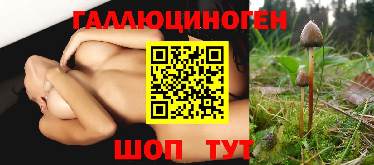 Великий Устюг  Галлюциногенные грибы Psilocybine cubensis  Вход с VPN 