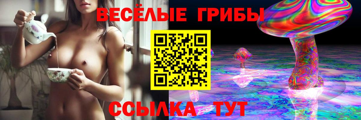 Галлюциногенные грибы Psilocybine cubensis Великий Устюг